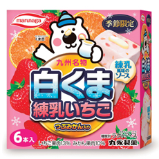 shirokuma_rennyuu_ichigo