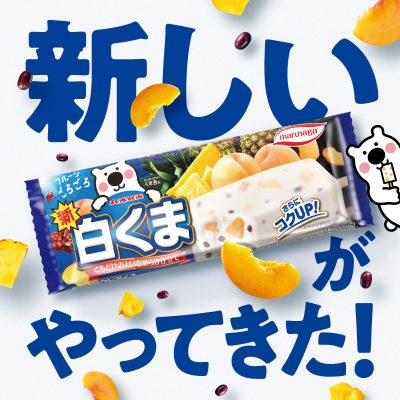新しい白くまがやってきた